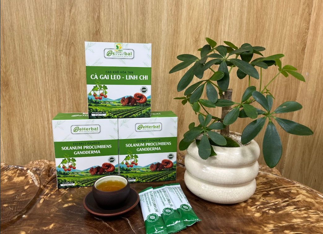 Cảnh báo “Men gan cao” sau những chầu nhậu: Phác đồ giải độc gan do bia rượu chuẩn y khoa từ cao thảo dược hòa tan